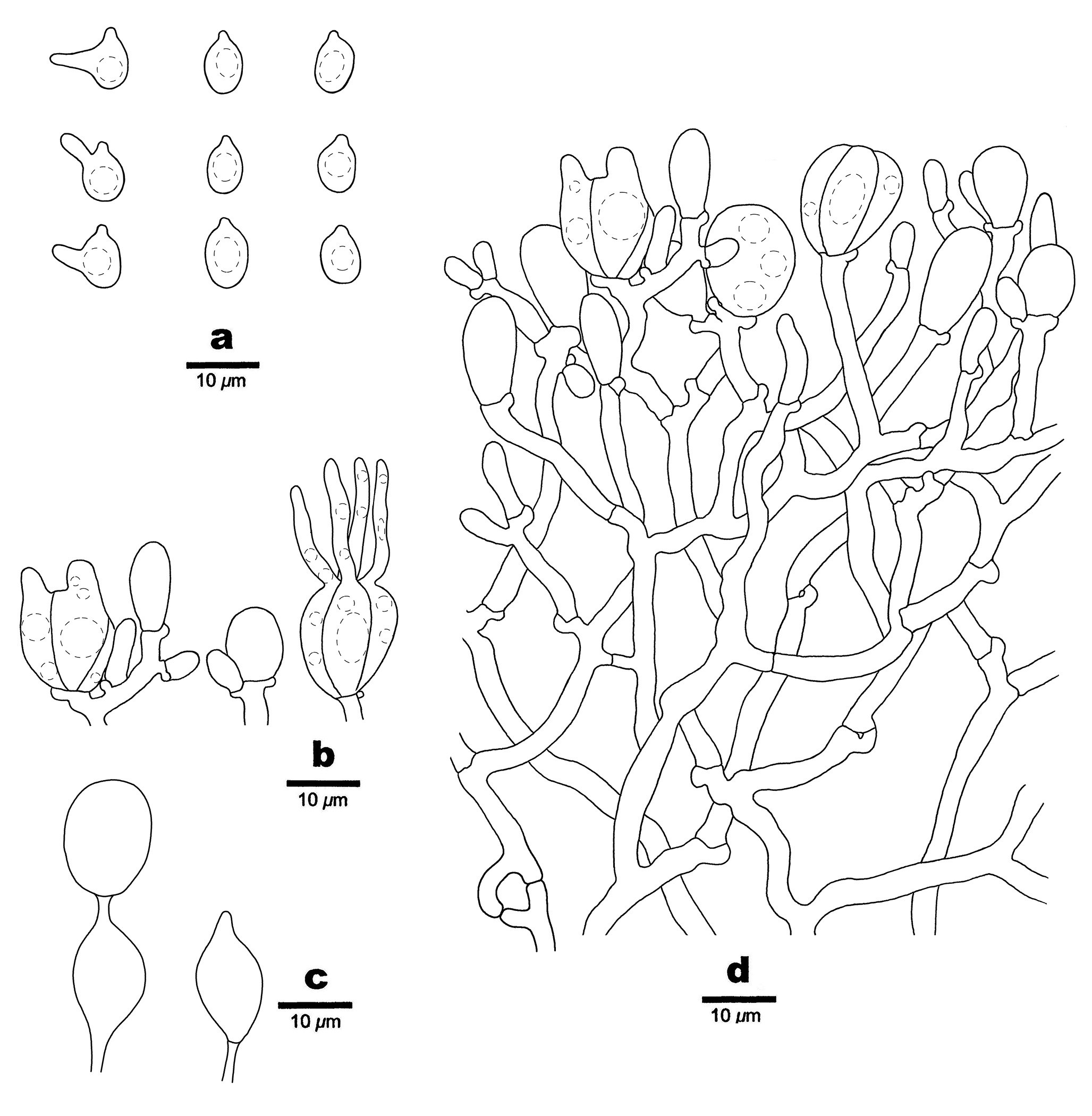 Figure 85